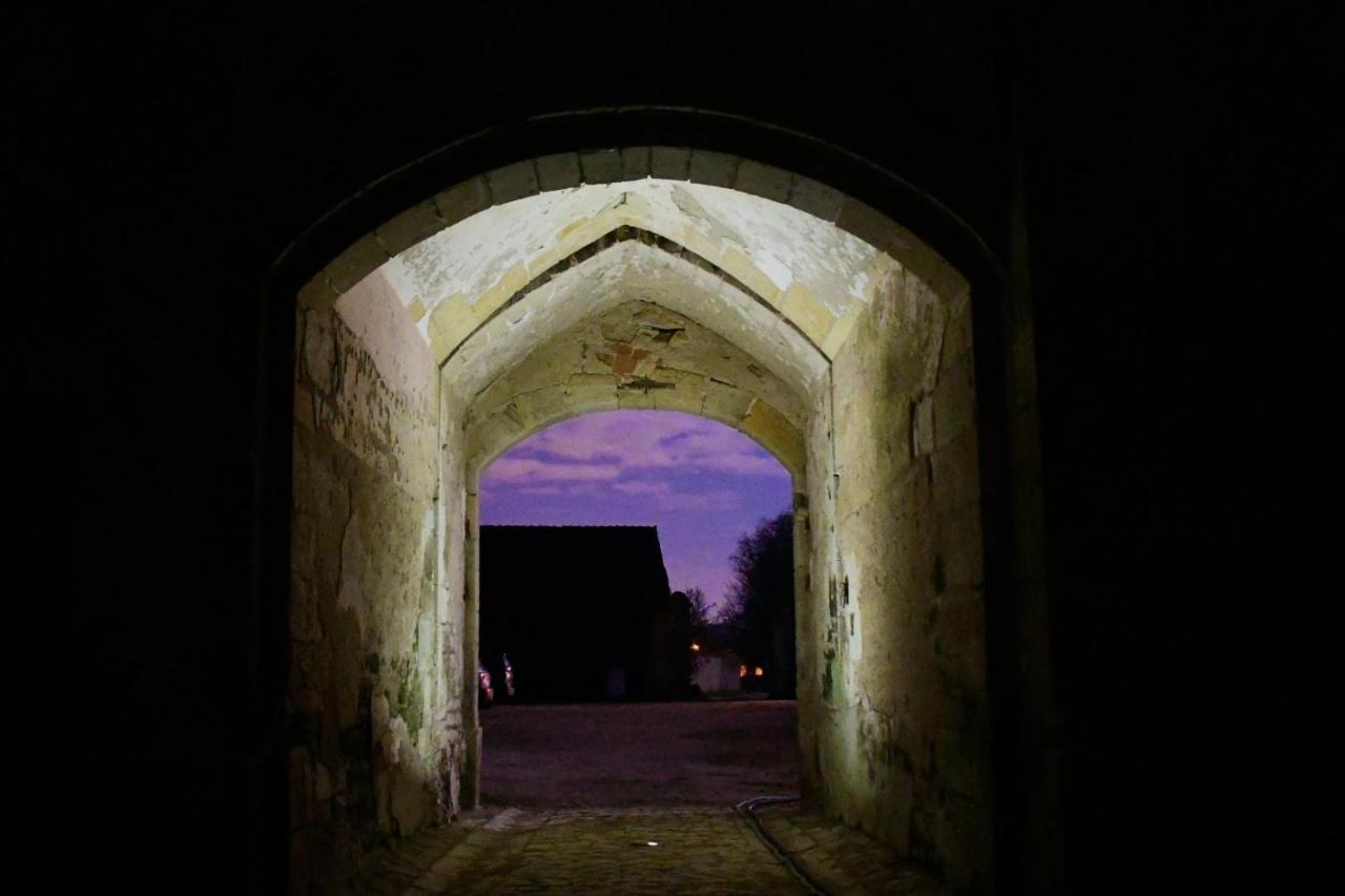 Un Chateau En Bourgogne Saincaize-Meauce Zewnętrze zdjęcie