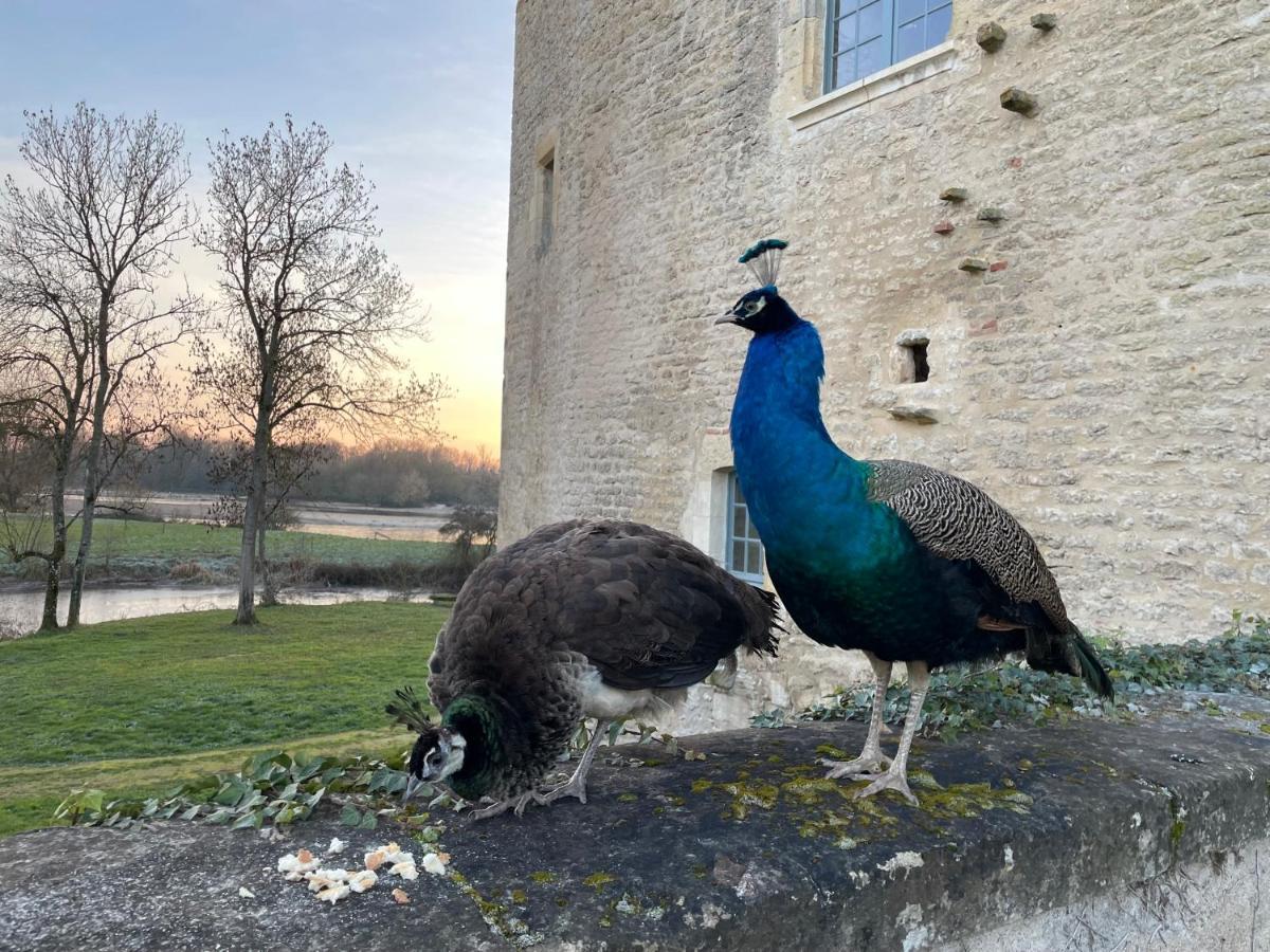 Un Chateau En Bourgogne Saincaize-Meauce Zewnętrze zdjęcie